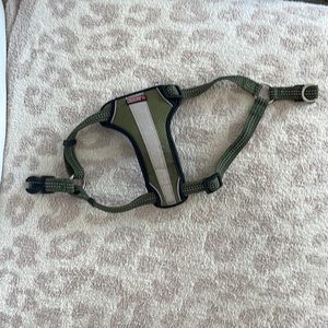 Green Kong Small Dog Harness